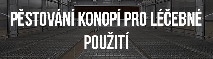 Pěstování konopí pro léčebné použití