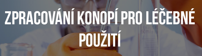 Zpracování konopí pro léčebné použití